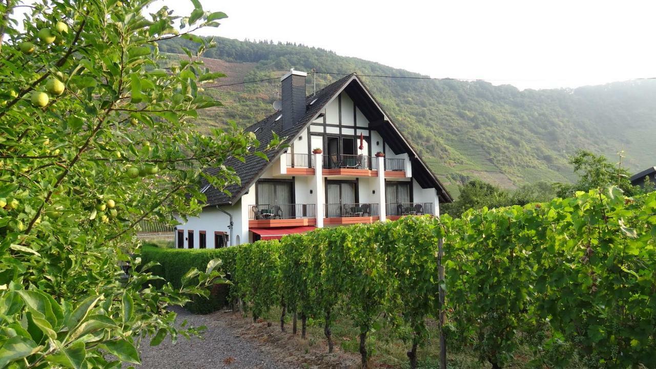 Haus Weingarten Appartements-Zimmer Ернст Номер фото